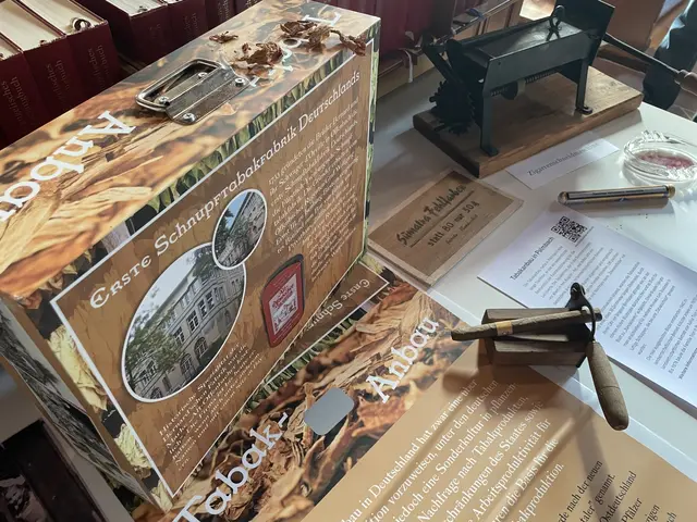 Tabakanbau in den Waldenser- und Hugenottenorten.  | Foto: Waldenserverein Palmbach e. V.