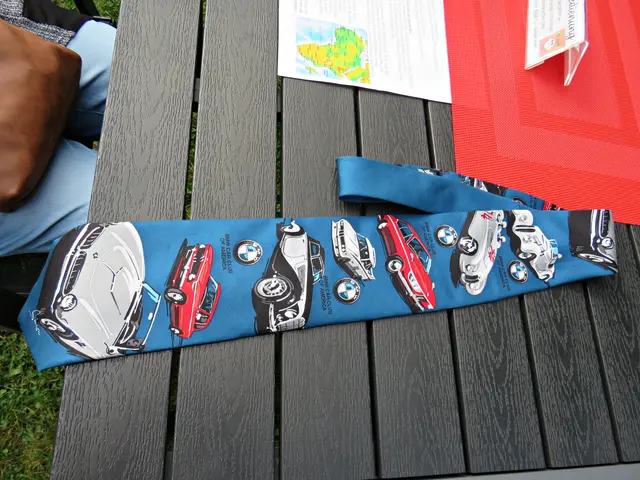 BMW-Krawatte | Foto: Brigitte Melder