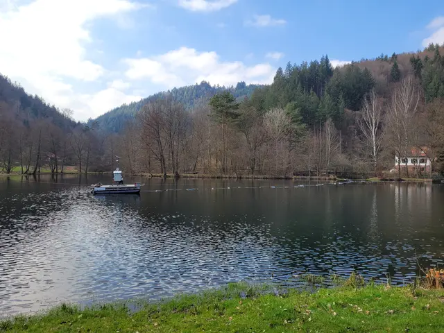 Ein Mini-Mover saugt auf dem Helmbachweiher Sedimente ab | Foto: KV Bad Dürkheim