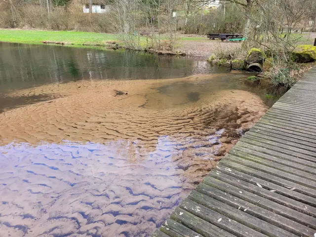 Sedimenteintrag aus dem Kohlbach | Foto: KV Bad Dürkheim