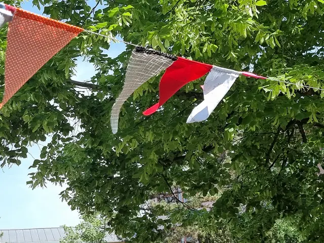 Symbolfoto Fest / Feier | Foto: BAS