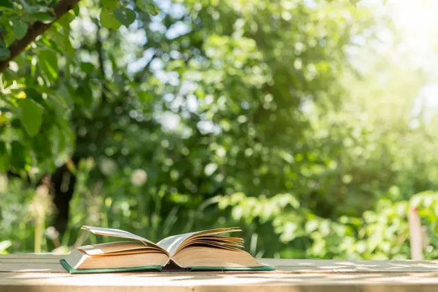 Aktion der Stadtbücherei Frankenthal.  | Foto: Sensay/stock.adobe.com