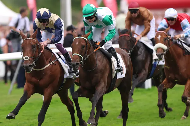 Hochkönig beim Sieg im "Deutschen Derby" | Foto: www.marcruehl.com