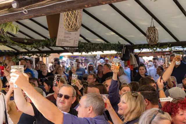 In den Schubkarchständen rund um die Bühne wird bei bester Laune mitgefeiert. | Foto: Heimatlichter GmbH