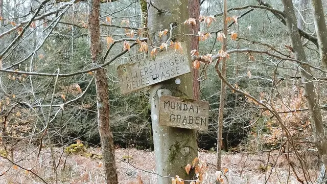 Der Mundatgraben im herbstlichen Bienwald | Foto: Heike Schwitalla
