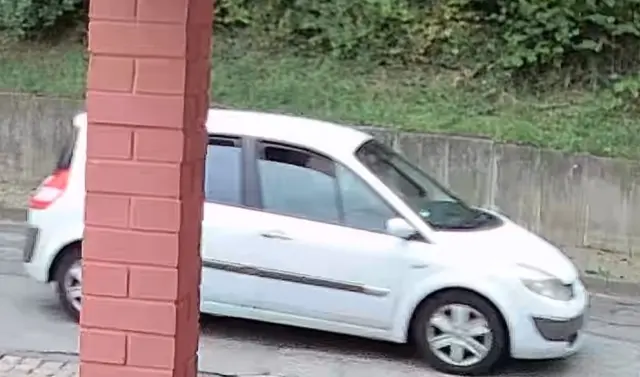 Der mutmaßliche Verursacher | Foto: Polizei