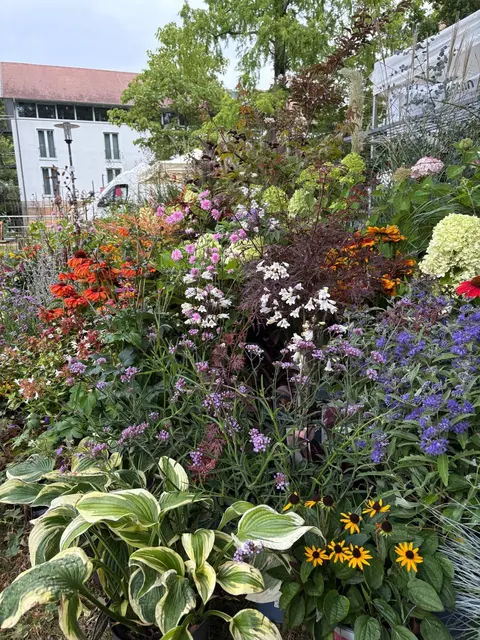 Blumenarrangement | Foto: Team 4 Stadt rockenhausen