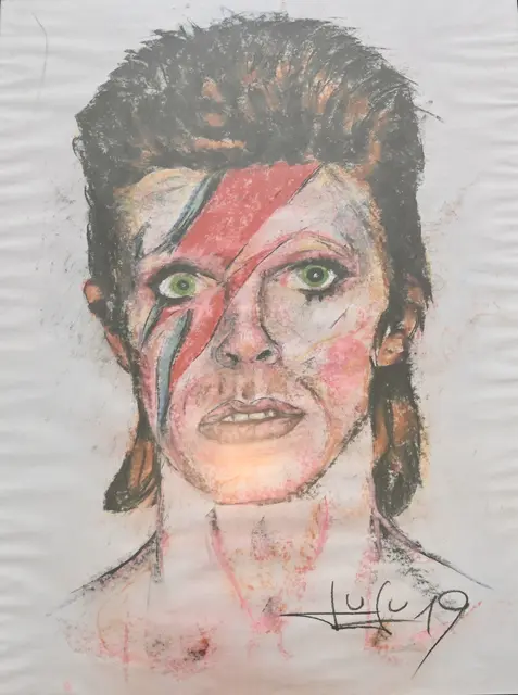 Porträt David Bowie... | Foto: Hebrank