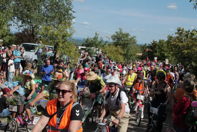 Foto: Michael Sonnick