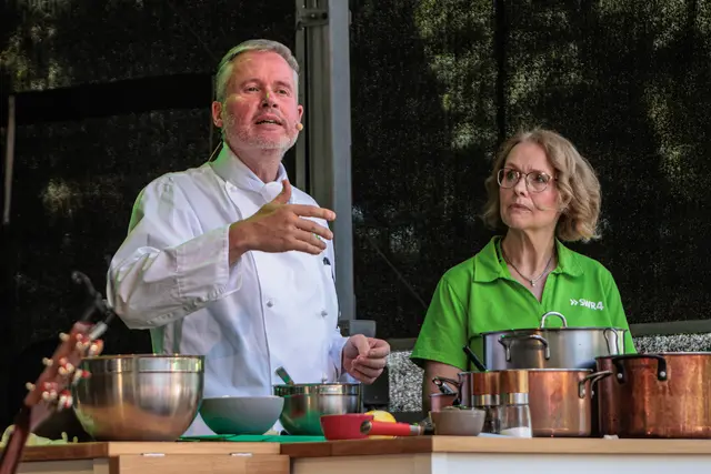Im Wörther Bürgerpark am Sonntag: Kochshow mit SWR4-Experte Jörg Ilzhöfer | Foto: Paul Needham