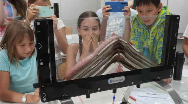 Fasziniert verfolgen die Kinder den „Vulkanausbruch im Hörsaal“ – und halten das Spektakel mit ihren Handys fest. | Foto: Bildrechte: DHBW KA//SON