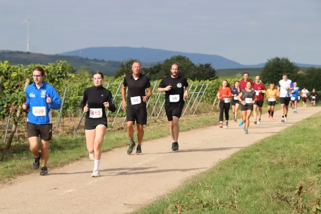 Tolle Aussichten auf dem Rundkurs durch die Kriegsheimer Weinberge | Foto: LLG Wonnegau