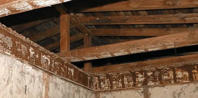 Foto: Norbert Scharf