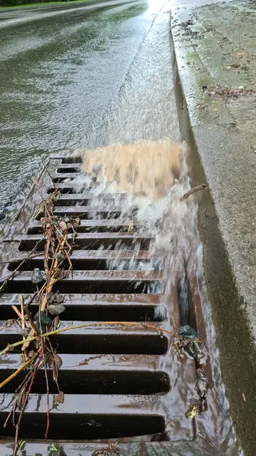 Regional besteht Unwettergefahr mit Starkregenmengen bis 60 Liter pro Quadratmeter | Foto: Ralf Vester