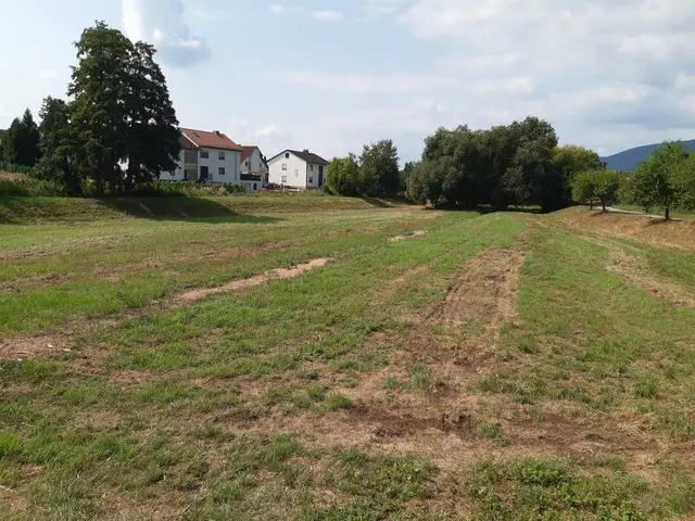 Nach Starkregen im Mai: Edesheimer Rückhaltebecken wird wieder funktionsfähig | Foto: Verbandsgemeindeverwaltung Edenkoben