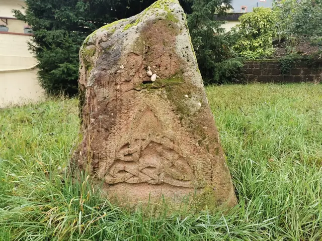 Erdenstein - Frankeneck  | Foto: Thomas Mann