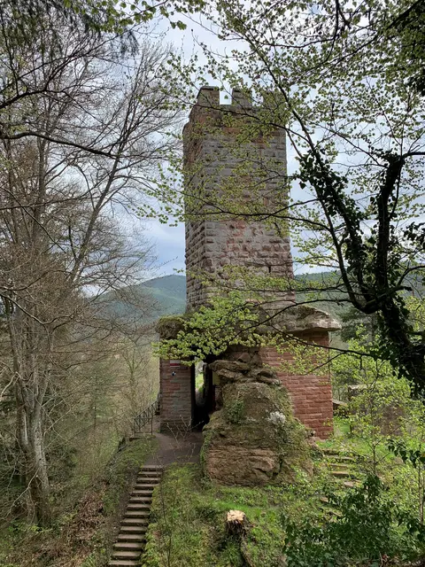 Burgruine Erfenstein  | Foto: Heike Zinsmeister