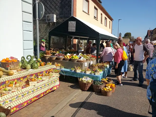 Wieder zahlreiche Besucher werden erwartet | Foto: Anja Stemler