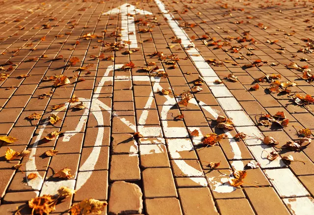 Fahrradweg im Herbst Symbolbild | Foto: Evgeniy Kalinovskiy/stock.adobe.com