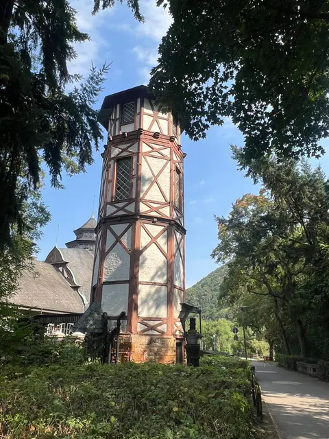 Im Kurpark | Foto: Ich