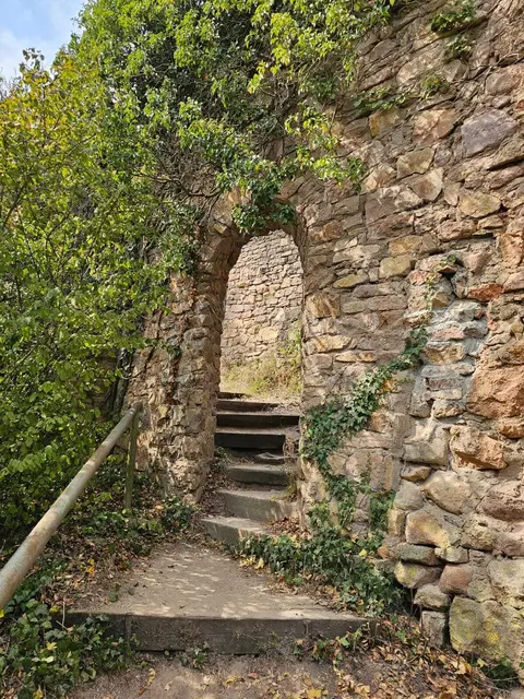 Rheingrafenstein | Foto: Ich