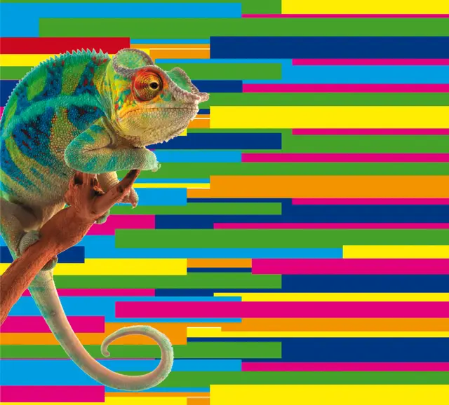 Foto: Alle Bilder: Malschule Limburgerhof - Kunst und Kurse