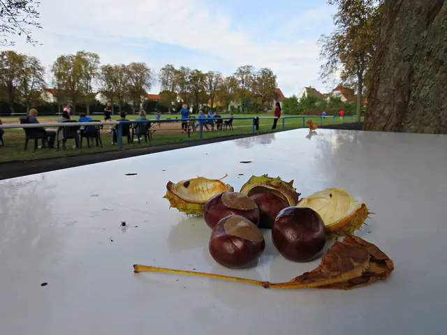 Foto: Brigitte Melder