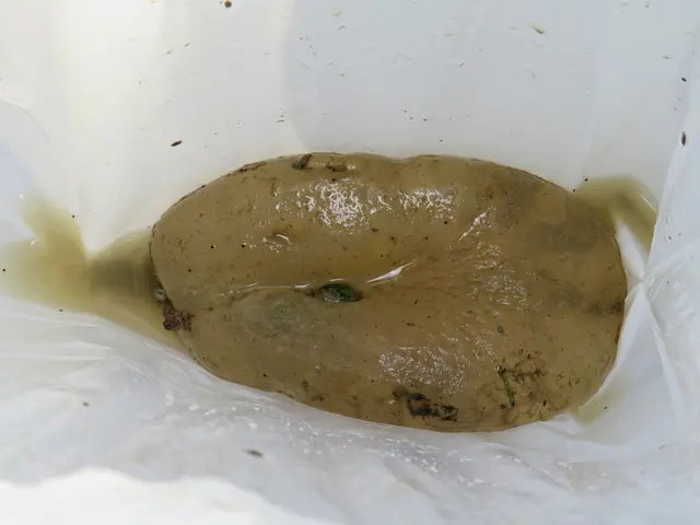 Wer vermisst sein Brustimplantat? | Foto: Brigitte Melder