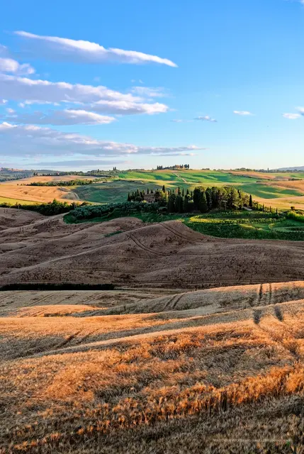 Blick über die Hügel des Val d'Orcia | Foto: Gernot Haida