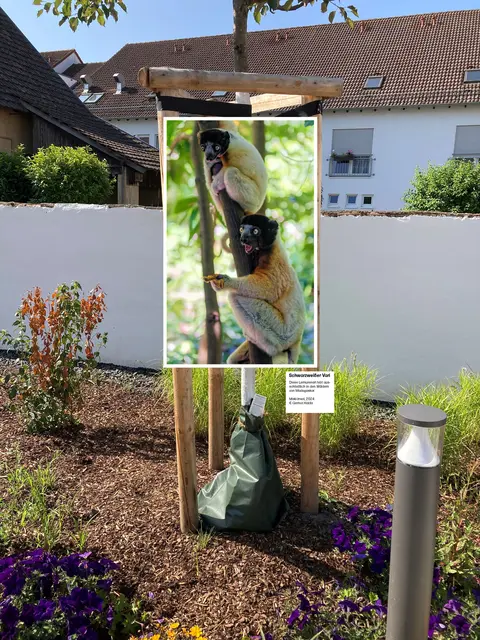 Der "Neiheffer Zoo" | Foto: Gernot Haida