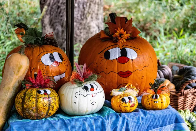 Ein reizender Flirt  | Foto: Wolfgang Neuberth