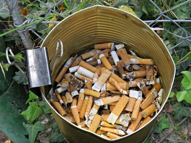 Foto: Brigitte Melder