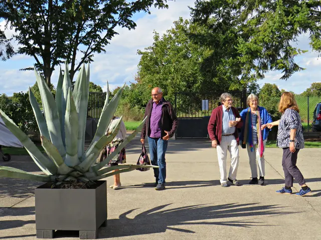 Foto: Brigitte Melder