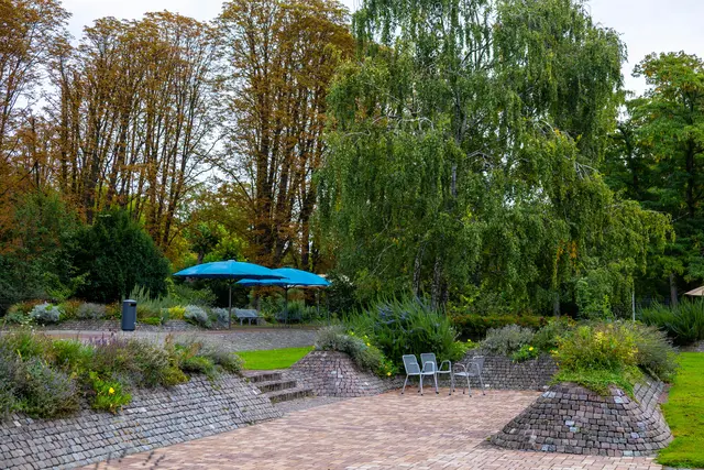 Die Schönheit des Herzogenriedparks | Foto: Wolfgang Neuberth