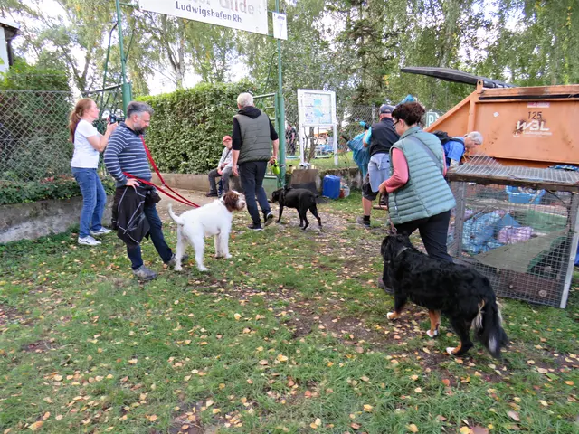 Foto: Brigitte Melder