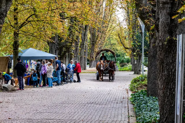 Kutschfahren | Foto: Wolfgang Neuberth