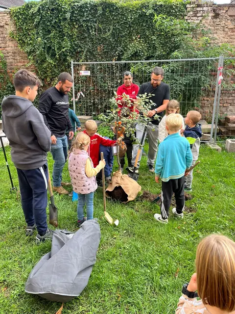 Baumpflanz-Challenge 2025 mit den Handball-Kindern des TV Hagenbach | Foto: David/gratis