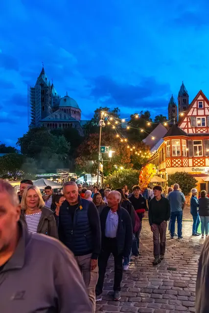 Altstadtfest 2025 | Foto: Varelmann