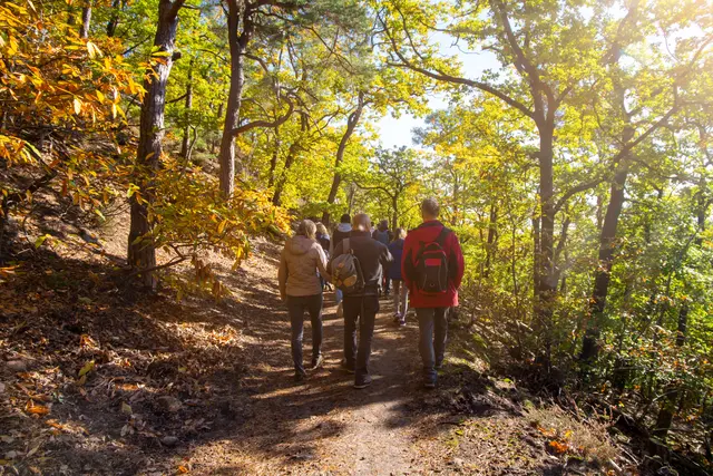 Südpfalz-Idyll | Foto: U. J. Alexander/stock.adobe.com