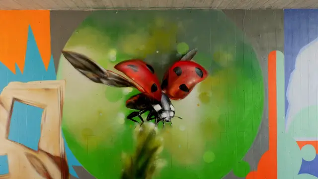 Detail aus der neuen Gestaltung: Ein leuchtend roter Marienkäfer bringt Farbe in die zuvor grauen Betonwände. | Foto: Erik Stegner