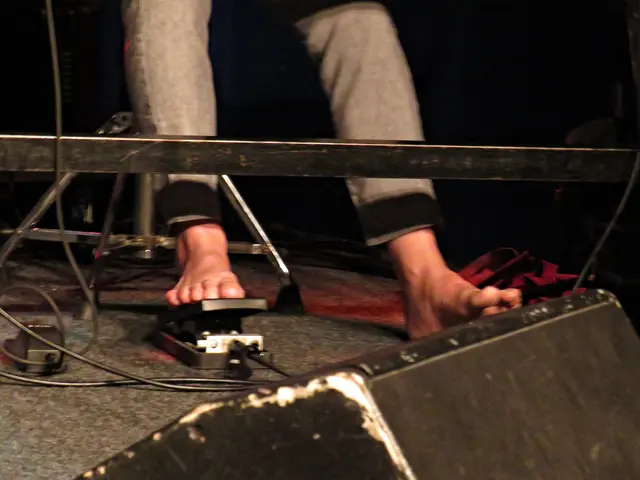 Barfuß am Hammond | Foto: Brigitte Melder