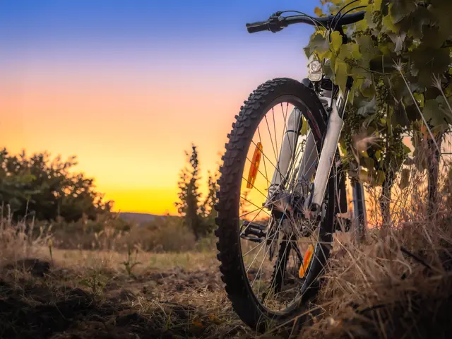 Das Siegerfoto des Fotowettbewerbs. | Foto: Alexander Bauß