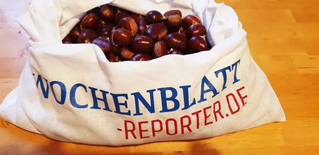 Auch das Wochenblatt-Reporter Team macht sich im Herbst auf die Suche nach Esskastanien | Foto: Jens Vollmer