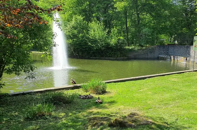 Ein Park mit Teichen: Diese Infrastruktur kühlt die Stadt.
| Foto: Ann-Kathrin Busath
