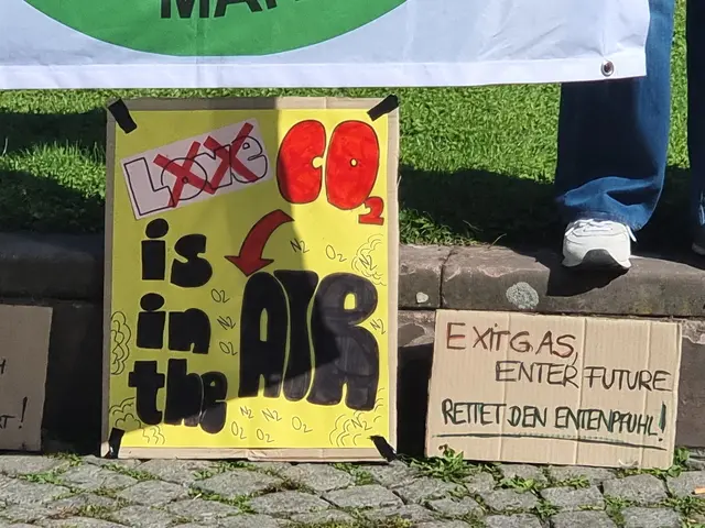 "CO2 is in the AIR" und "Exit Gas, enter Future - Rettet den Entenpfuhl!" | Foto: BAS
