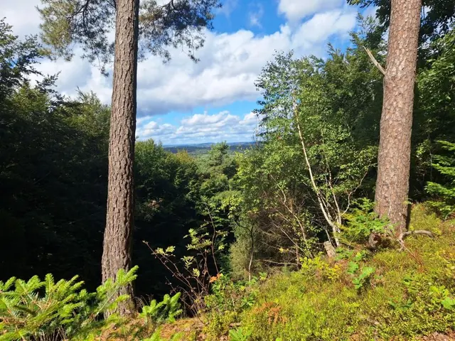 Ausblick | Foto: Ich