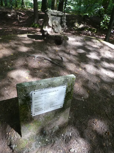 Muschelkalk | Foto: Ich