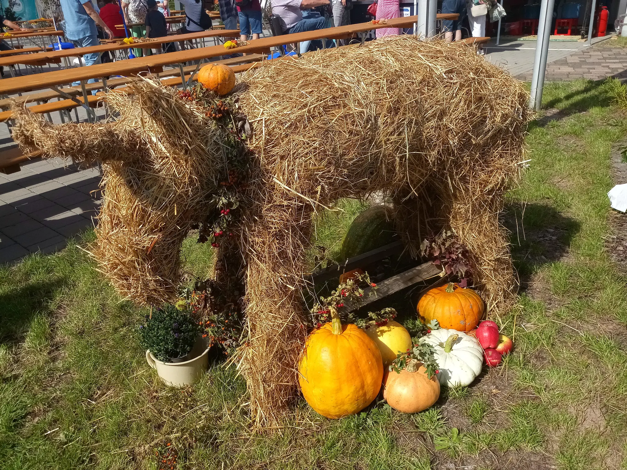 Europ-ischer-Bauernmarkt-2025-Genuss-in-Konken-Bildergalerie-