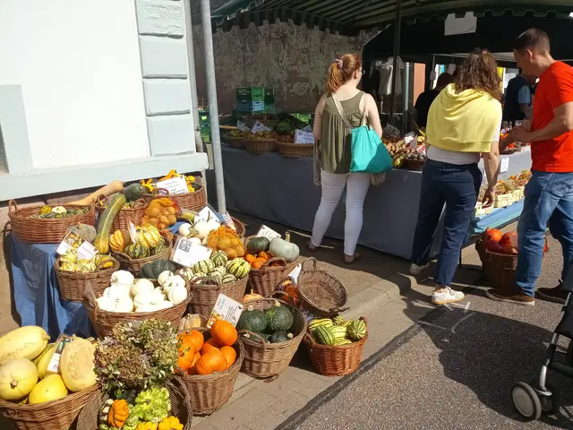 Kürbisse überall | Foto: Anja Stemler