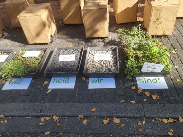 Die Temperatur wird massiv davon beeinflusst, welcher Untergrund vorhanden ist. | Foto: BAS